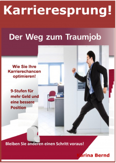 Karrieresprung! Der Weg zum Traumjob! Ratgeber | eBook